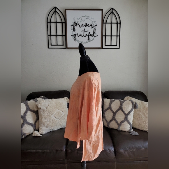 Soft Surroundings Pastel Peach Embroidered Boho Chic Asymmetrical Blouse Size 2X - Picture 3 of 12